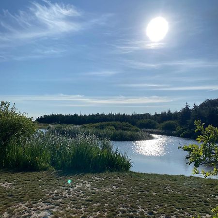 Zijperweg Vakantiehuis Vlakbij Zee, Strand En Bos Петен Екстериор снимка
