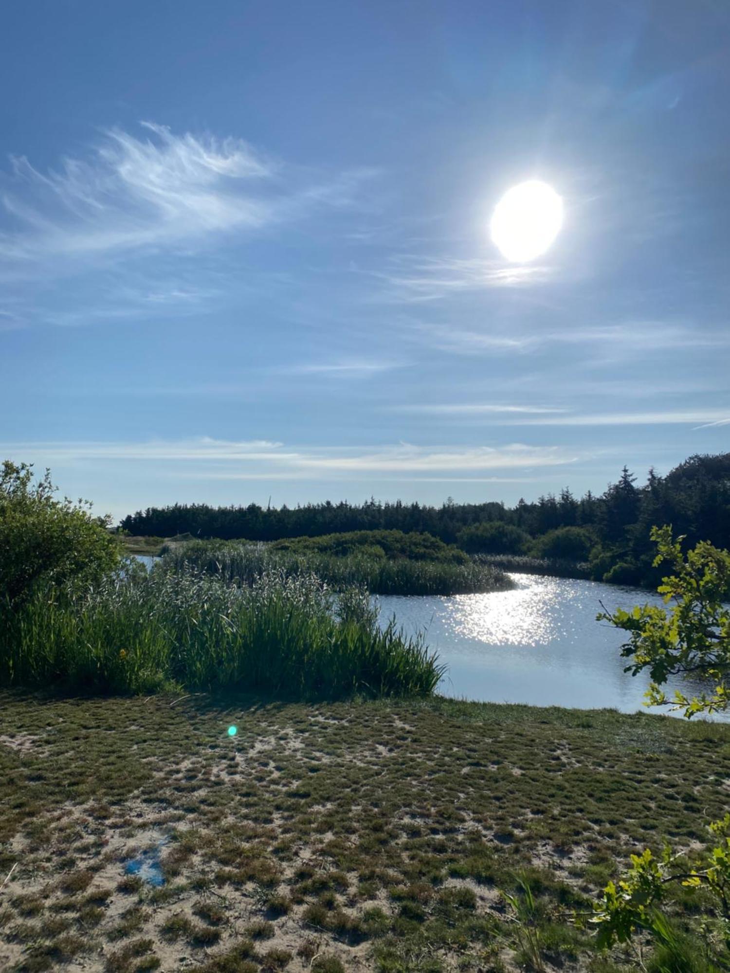 Zijperweg Vakantiehuis Vlakbij Zee, Strand En Bos Петен Екстериор снимка